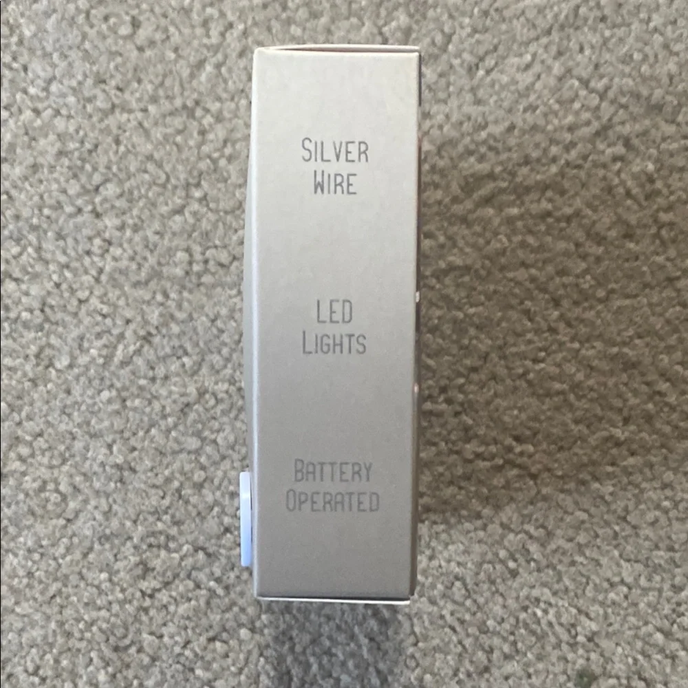 Everlasting Glow LED Light String with Remote